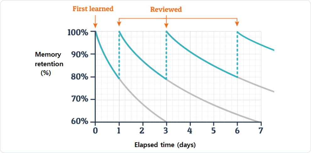 망각 곡선에 따라 복습 시점이 조정되는 학습 반복 그래프 예시